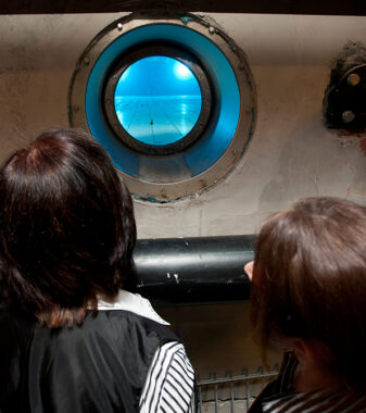 /data/vhosts/eccos/course_manager/tmp/upload/phpwJAloj